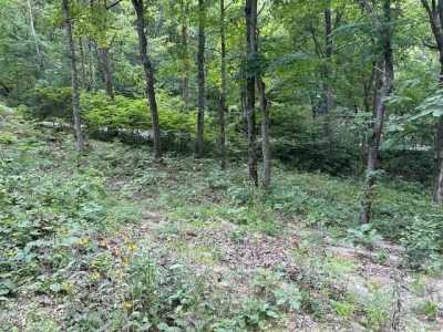 Residential Land For Rent in New Florence, Missouri