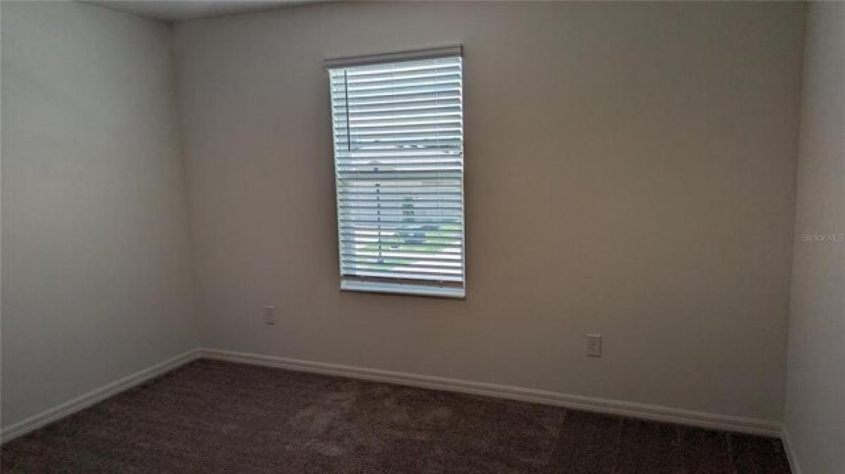 Picture of Home For Rent in Wesley Chapel, Florida, United States