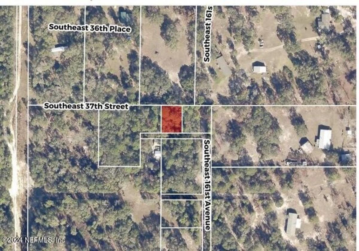 Picture of Residential Land For Sale in Ocklawaha, Florida, United States