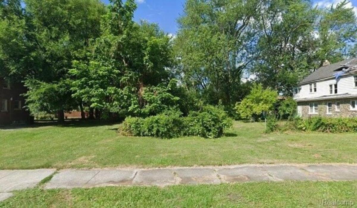 Picture of Residential Land For Sale in Detroit, Michigan, United States