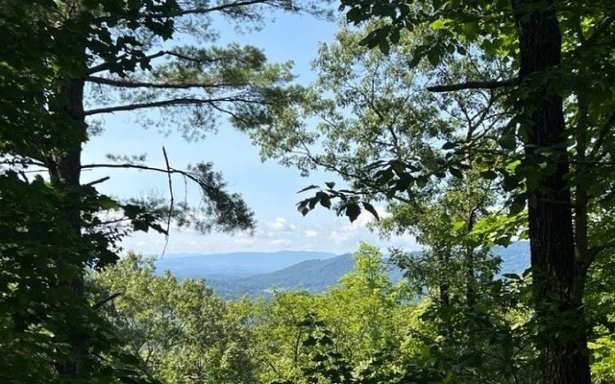 Picture of Residential Land For Sale in Hiawassee, Georgia, United States