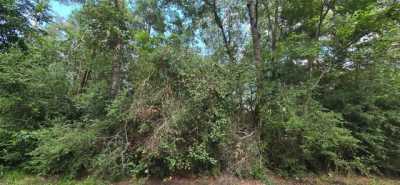 Residential Land For Rent in Onalaska, Texas