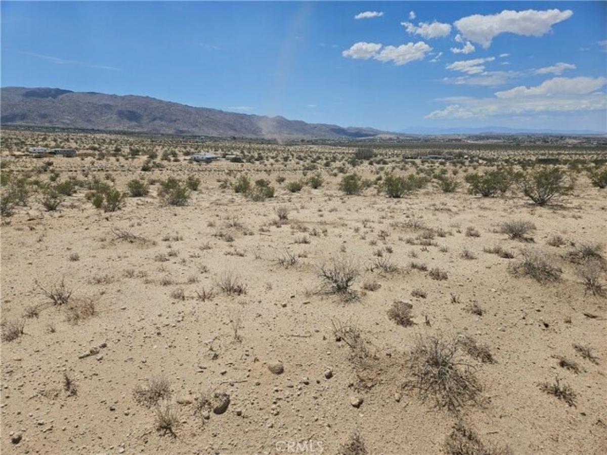 Picture of Residential Land For Sale in Twentynine Palms, California, United States