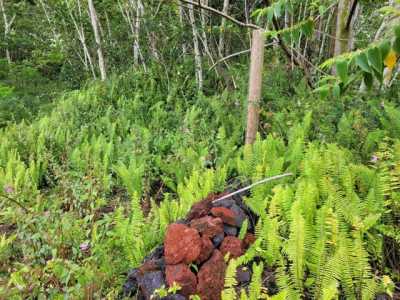 Residential Land For Sale in Pahoa, Hawaii