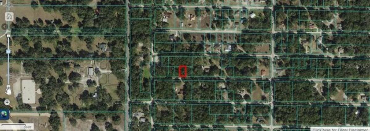 Picture of Residential Land For Sale in Dunnellon, Florida, United States