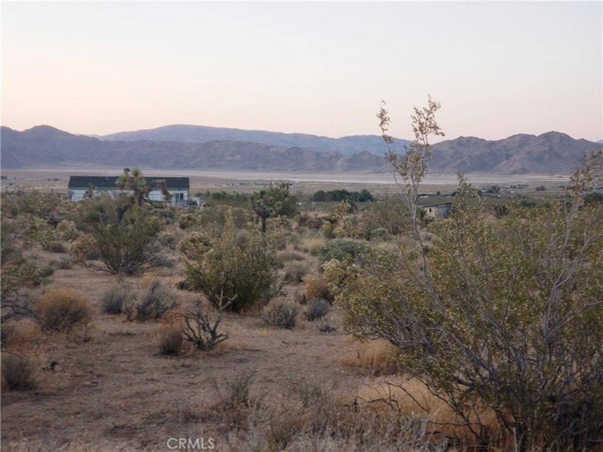 Picture of Residential Land For Sale in Lucerne Valley, California, United States