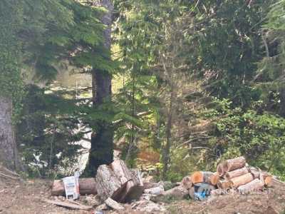 Residential Land For Sale in South Bend, Washington