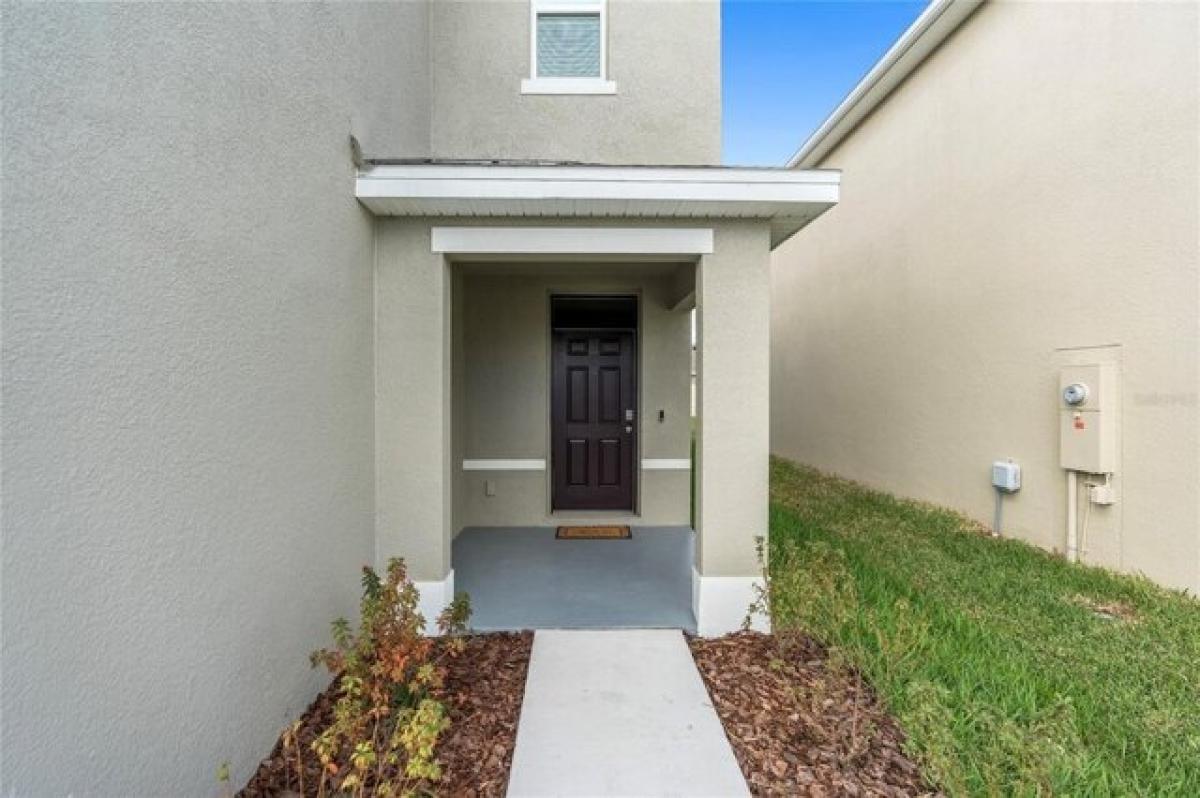 Picture of Home For Rent in Wesley Chapel, Florida, United States