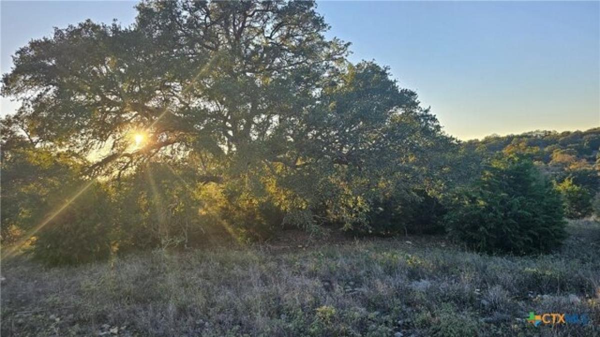 Picture of Residential Land For Sale in New Braunfels, Texas, United States
