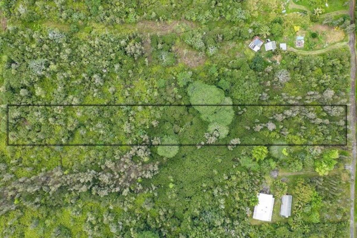 Picture of Residential Land For Sale in Kurtistown, Hawaii, United States
