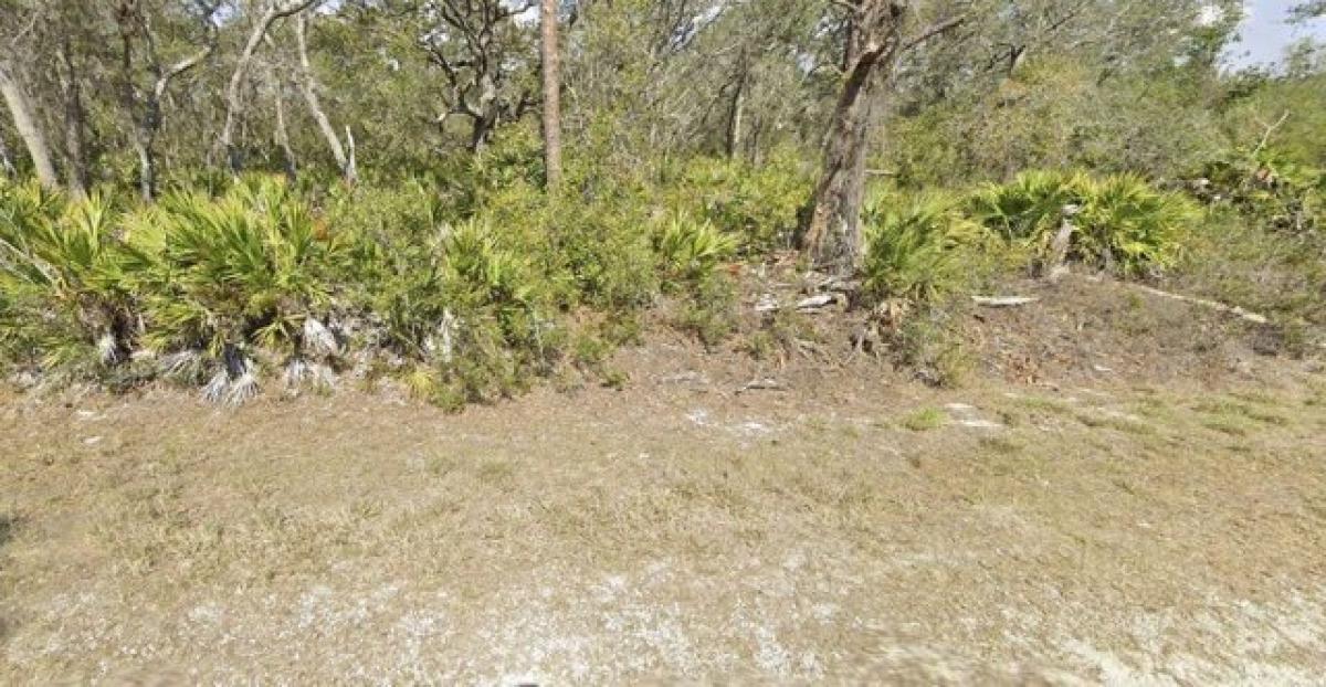 Picture of Residential Land For Sale in Lake Placid, Florida, United States
