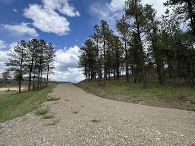Residential Land For Sale in Pagosa Springs, Colorado