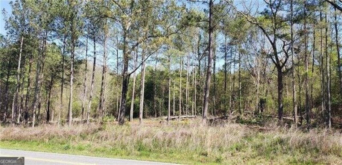 Picture of Residential Land For Sale in Dallas, Georgia, United States
