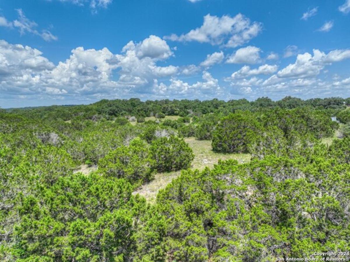 Picture of Residential Land For Sale in New Braunfels, Texas, United States