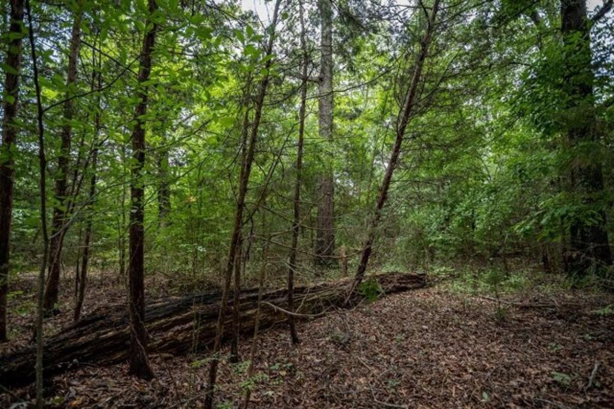 Picture of Residential Land For Sale in Chase City, Virginia, United States