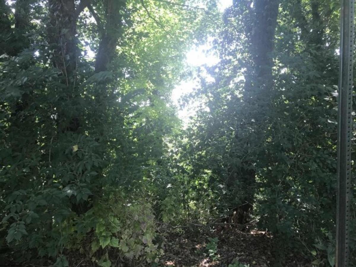 Picture of Residential Land For Rent in Morgantown, West Virginia, United States