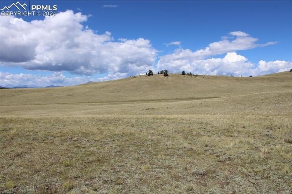 Picture of Residential Land For Sale in Hartsel, Colorado, United States