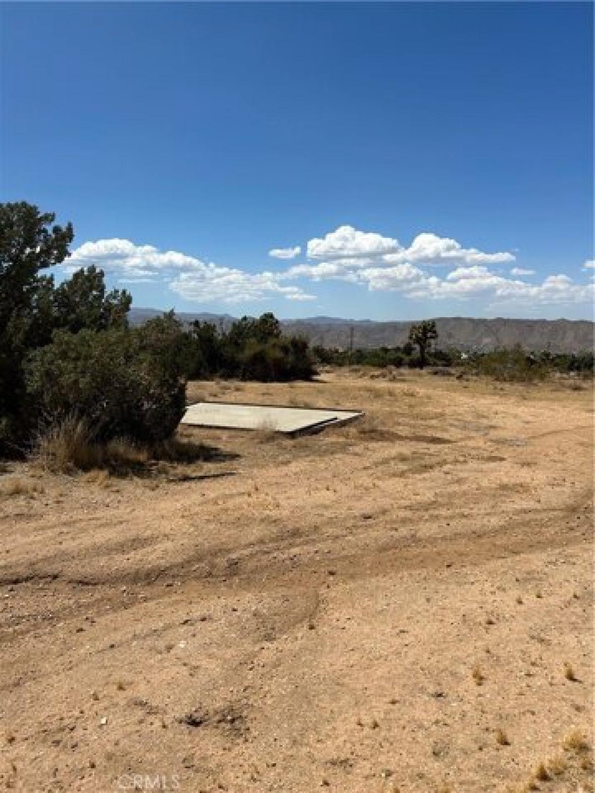 Picture of Residential Land For Sale in Yucca Valley, California, United States