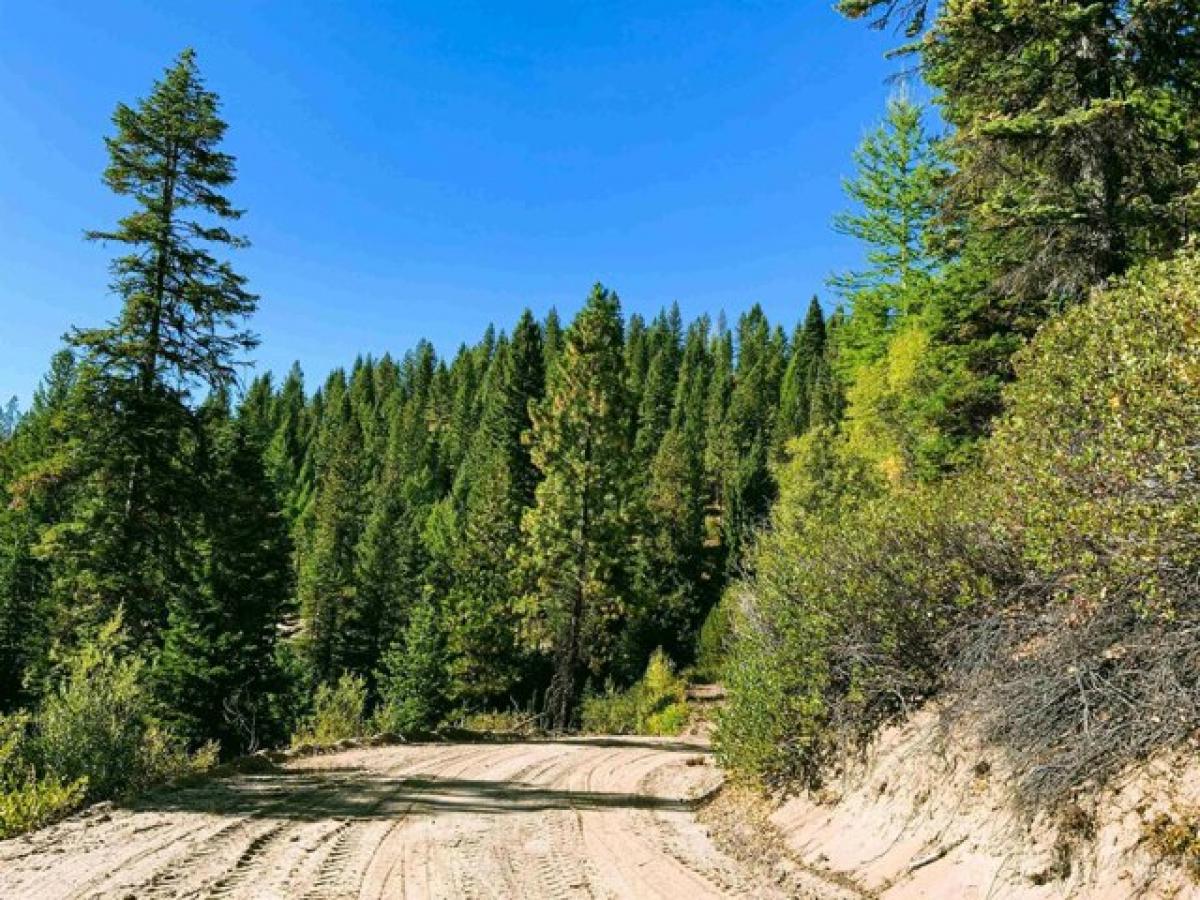 Picture of Residential Land For Sale in McCall, Idaho, United States