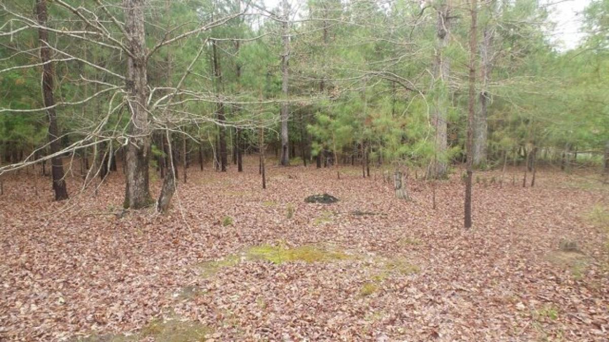 Picture of Residential Land For Sale in Tignall, Georgia, United States