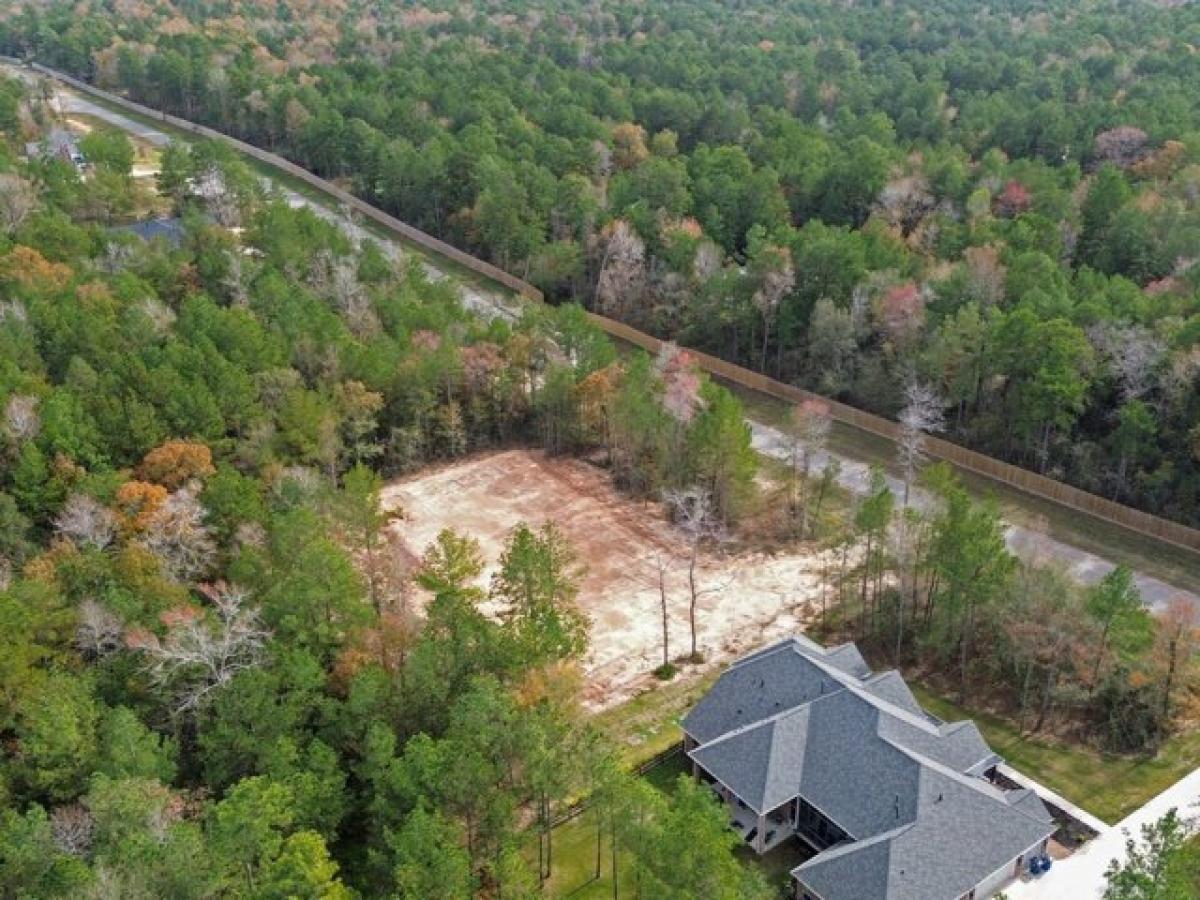 Picture of Residential Land For Sale in Montgomery, Texas, United States