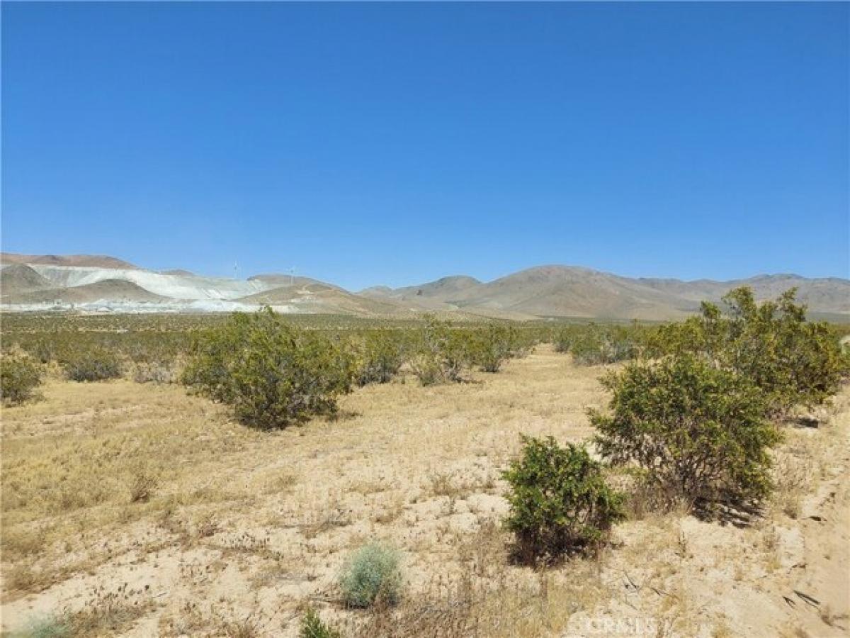 Picture of Residential Land For Sale in Apple Valley, California, United States