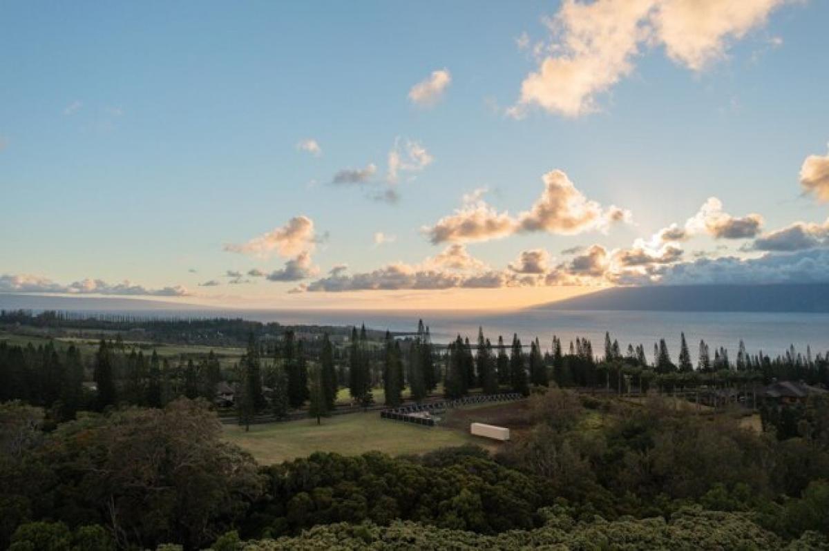 Picture of Residential Land For Sale in Lahaina, Hawaii, United States
