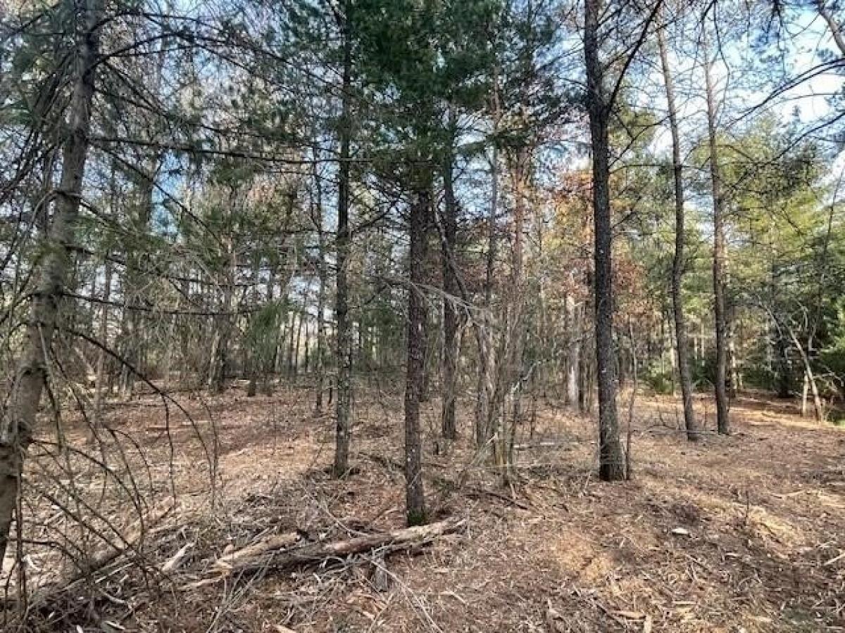 Picture of Residential Land For Sale in Wisconsin Rapids, Wisconsin, United States