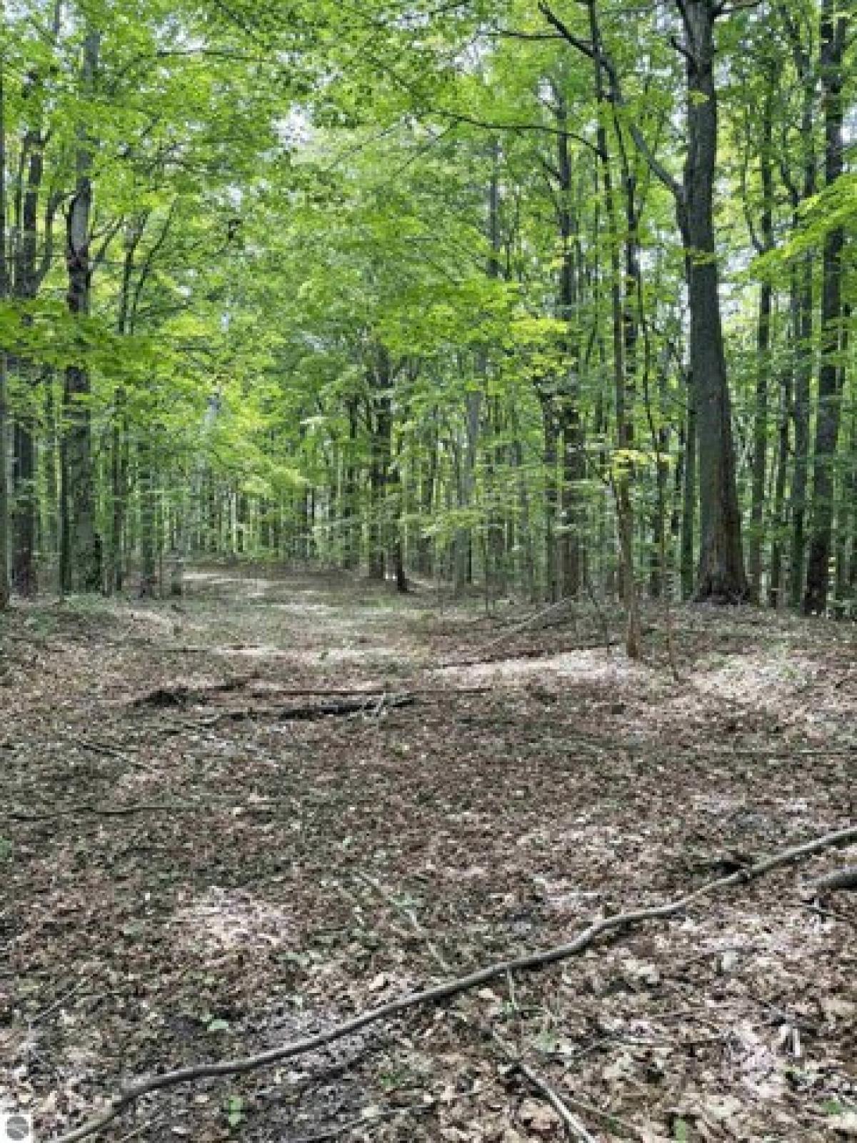Picture of Residential Land For Sale in Frankfort, Michigan, United States