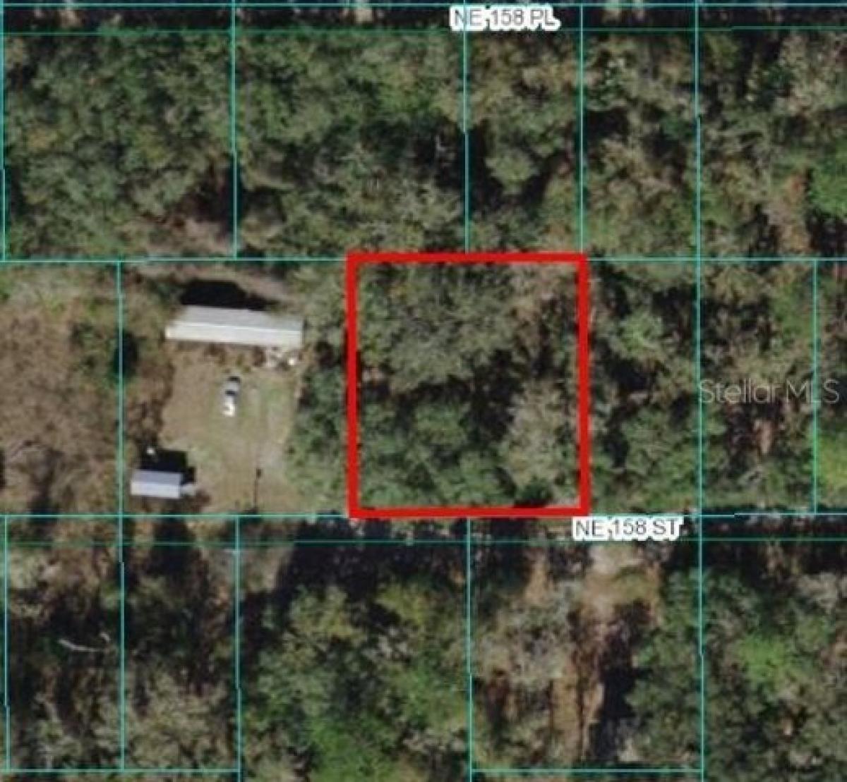 Picture of Residential Land For Rent in Fort Mccoy, Florida, United States