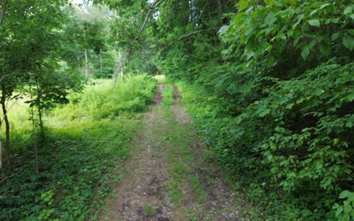 Picture of Residential Land For Sale in Murphy, North Carolina, United States