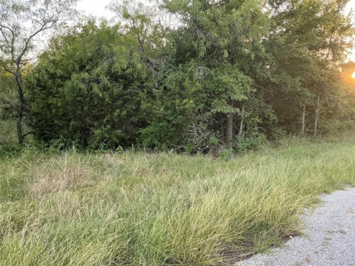 Picture of Residential Land For Sale in Whitney, Texas, United States