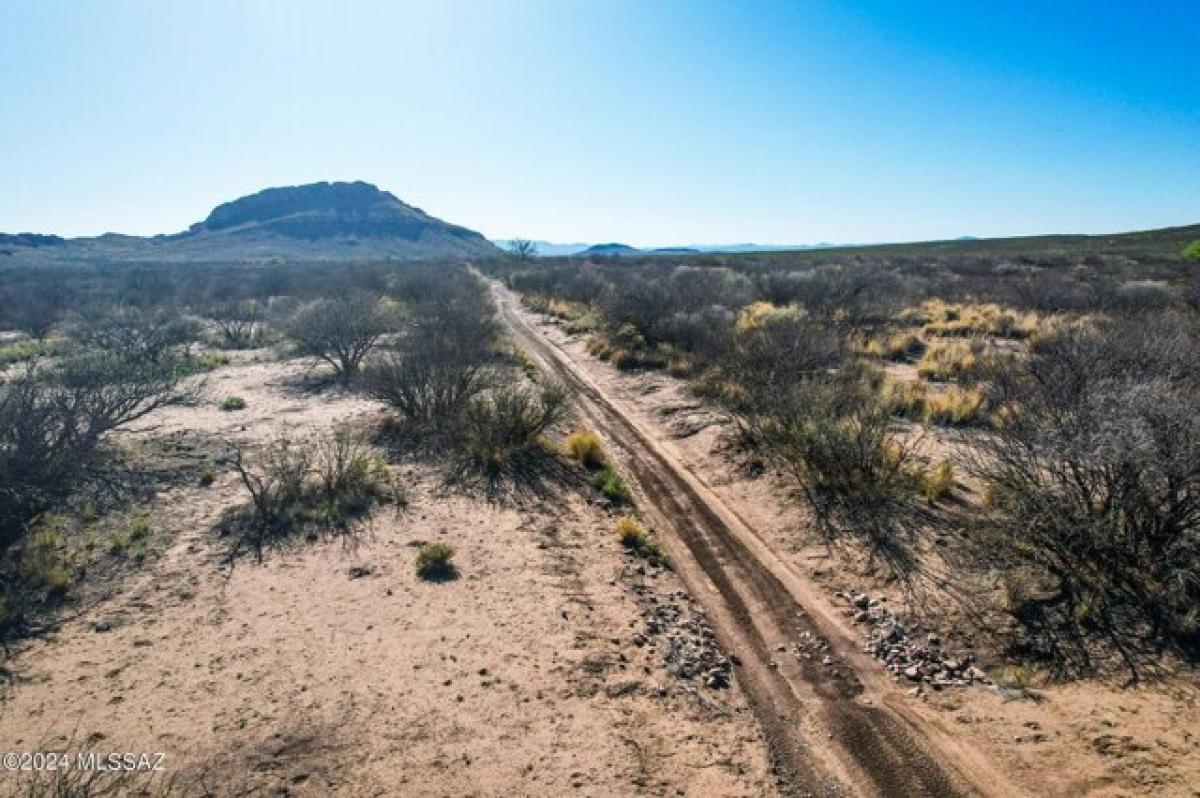 Picture of Residential Land For Rent in Douglas, Arizona, United States