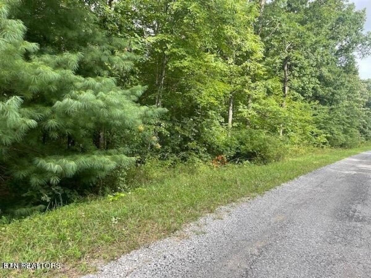 Picture of Residential Land For Sale in Crossville, Tennessee, United States