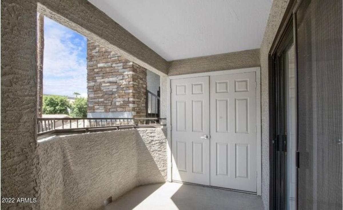 Picture of Apartment For Rent in Phoenix, Arizona, United States