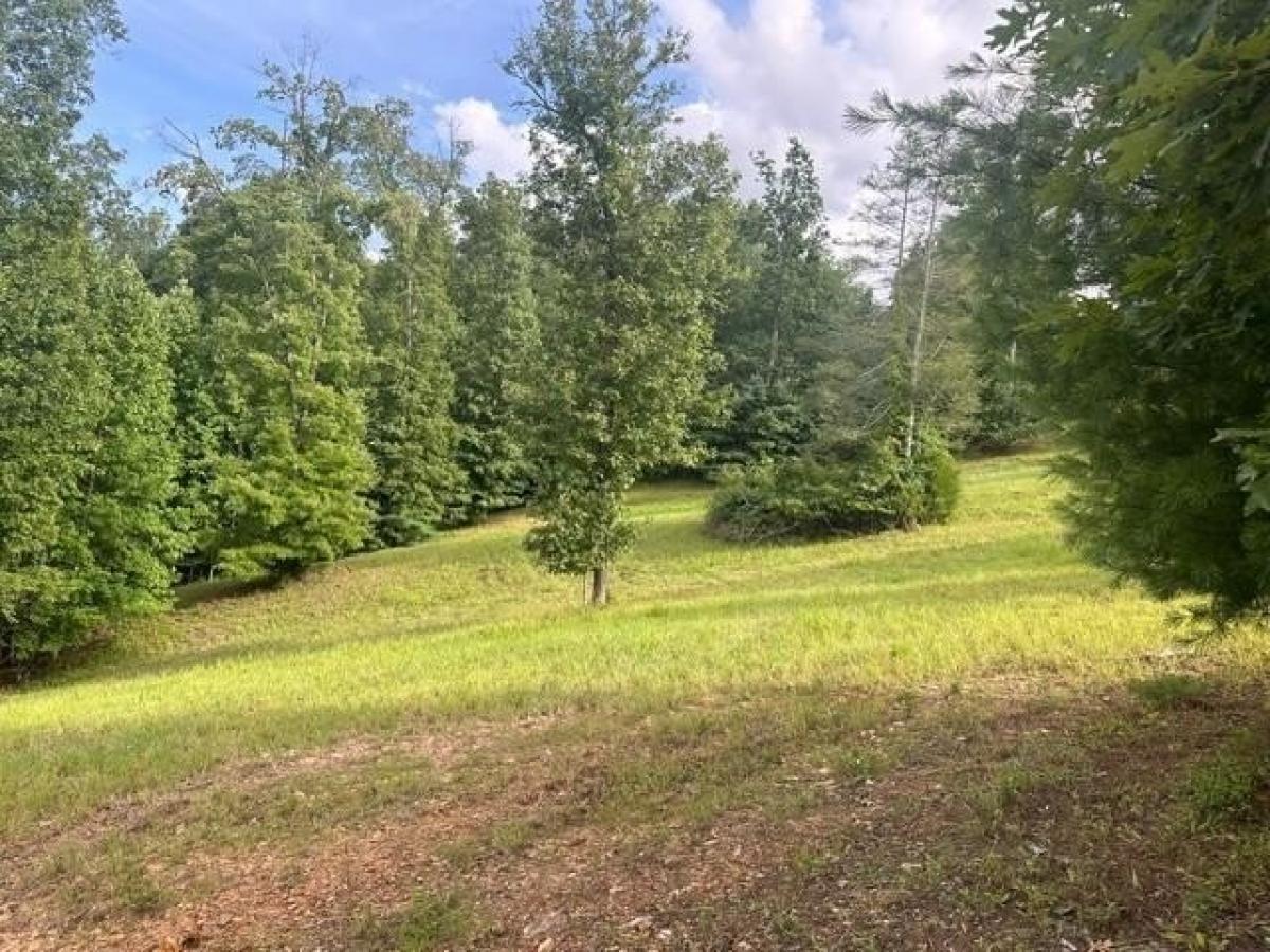 Picture of Residential Land For Sale in Blairsville, Georgia, United States