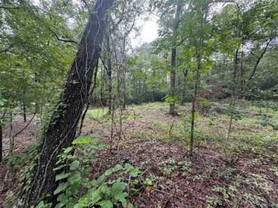 Residential Land For Sale in Brookeland, Texas