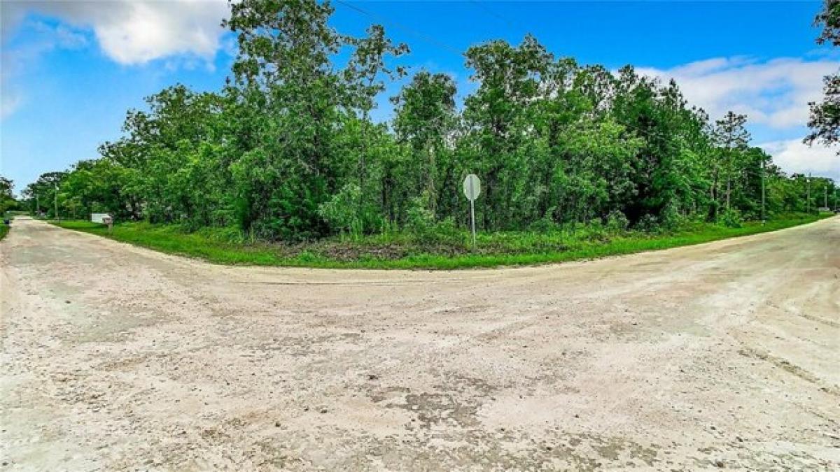Picture of Residential Land For Sale in Brooksville, Florida, United States