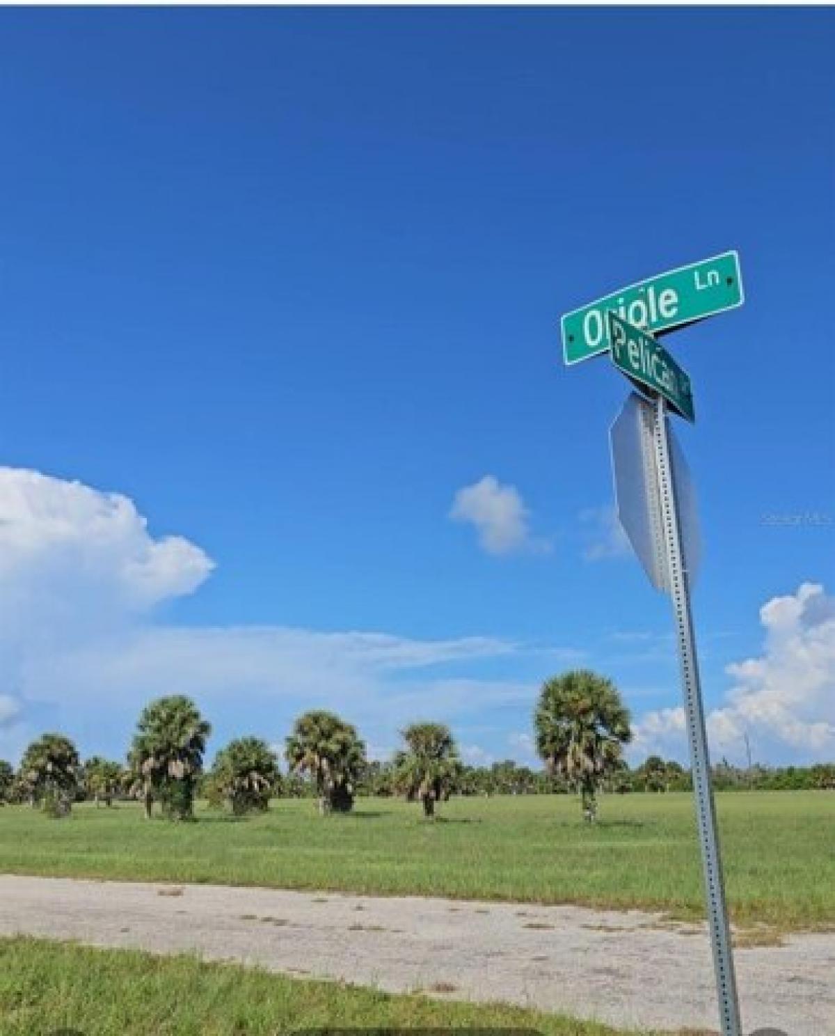 Picture of Residential Land For Sale in Placida, Florida, United States