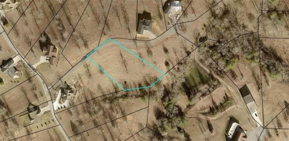 Picture of Residential Land For Sale in Blairsville, Georgia, United States