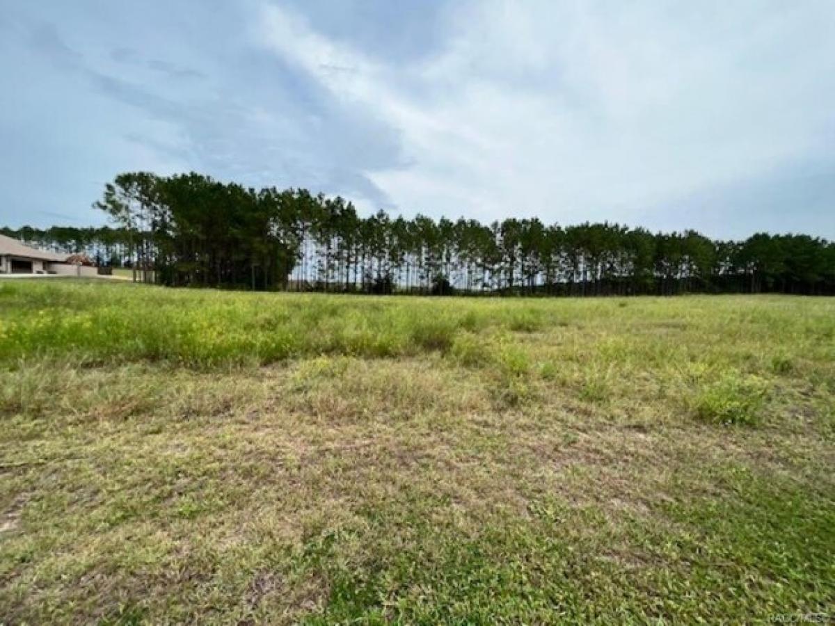 Picture of Residential Land For Sale in Inverness, Florida, United States