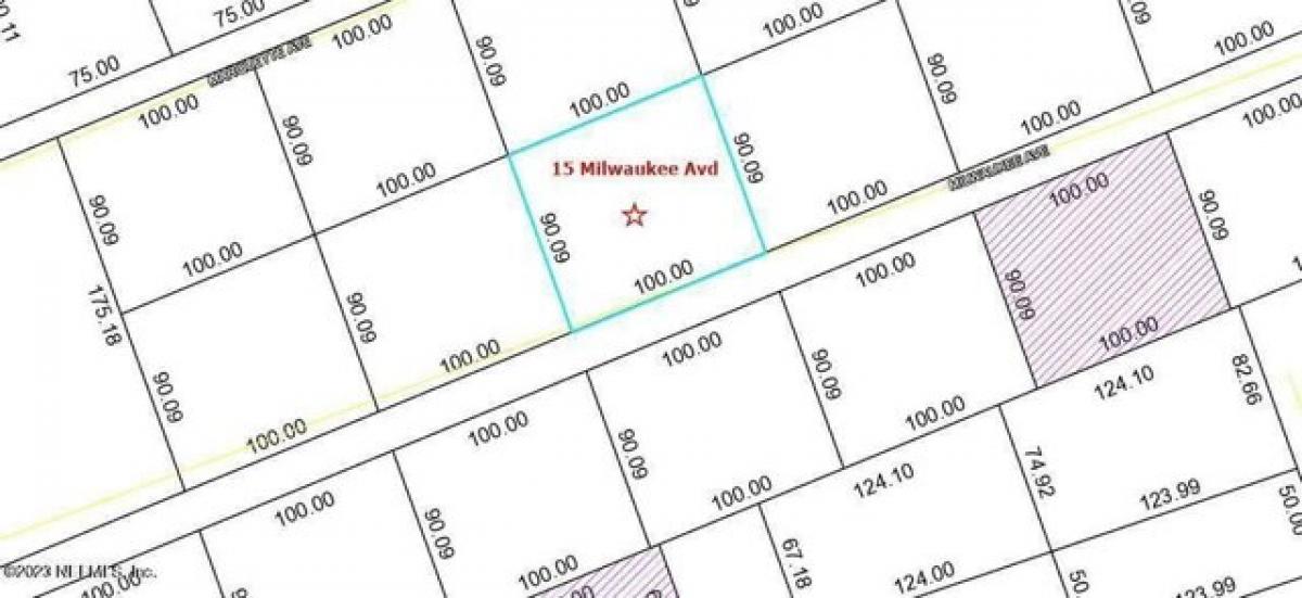 Picture of Residential Land For Sale in Palm Coast, Florida, United States