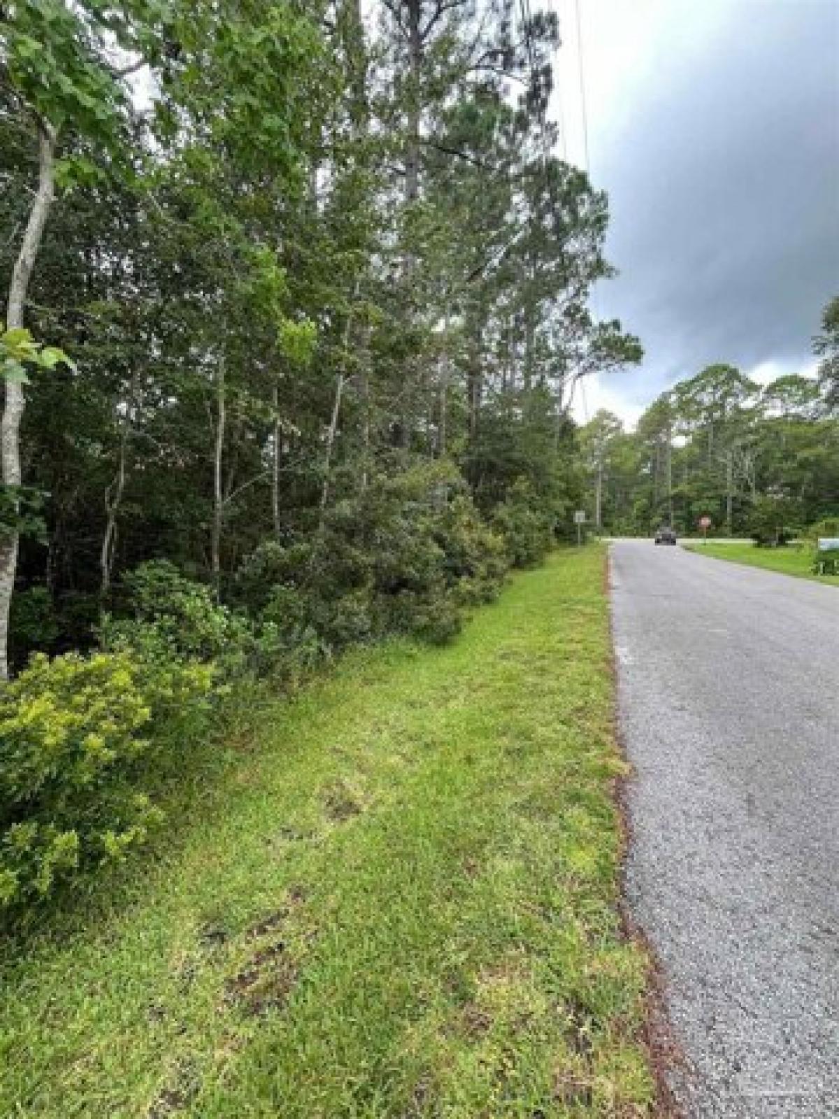 Picture of Residential Land For Sale in Milton, Florida, United States
