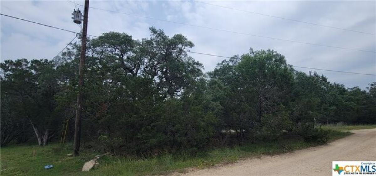 Picture of Residential Land For Sale in Spring Branch, Texas, United States