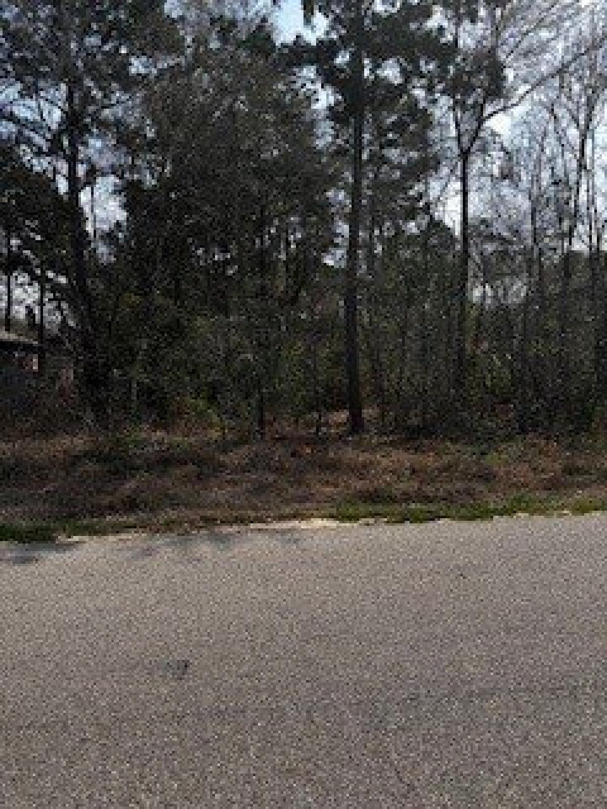 Picture of Residential Land For Sale in Willis, Texas, United States