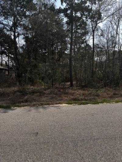 Residential Land For Sale in Willis, Texas