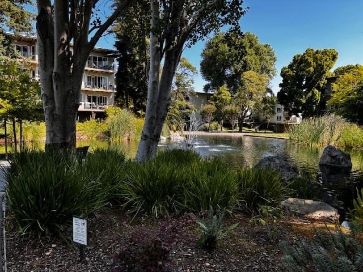 Picture of Home For Sale in San Mateo, California, United States