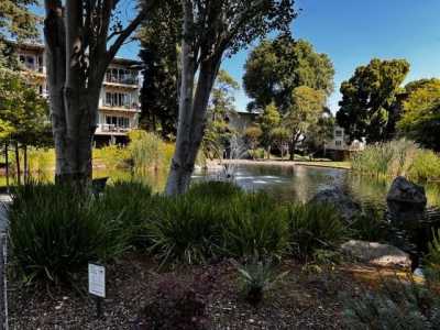 Home For Sale in San Mateo, California