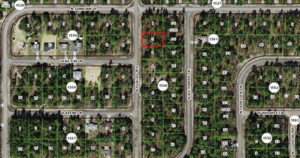 Picture of Residential Land For Sale in Citrus Springs, Florida, United States