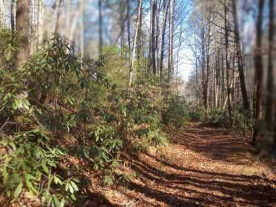 Residential Land For Sale in Blairsville, Georgia
